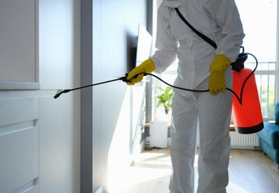Top 5 Reasons to Hire a Pest Control Service Company